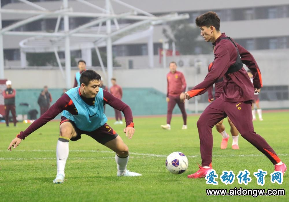 布莱顿的控 布莱顿的控