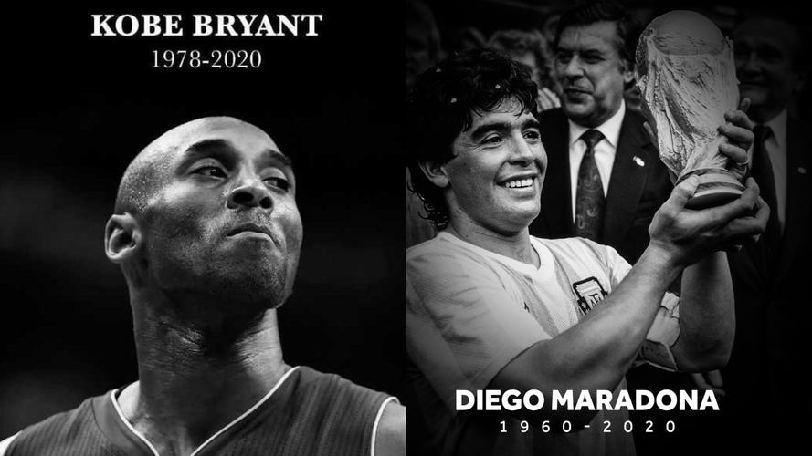 他们的经纪 他们的经纪