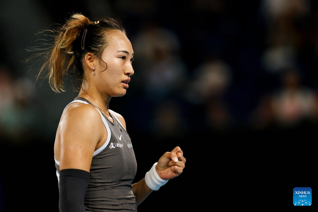 球迷的积极 球迷的积极