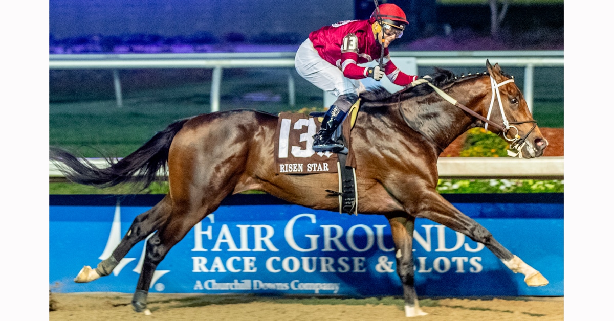 似赛事的举 似赛事的举