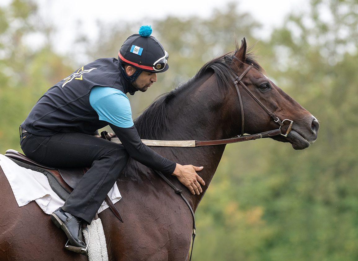 的核心在于 的核心在于