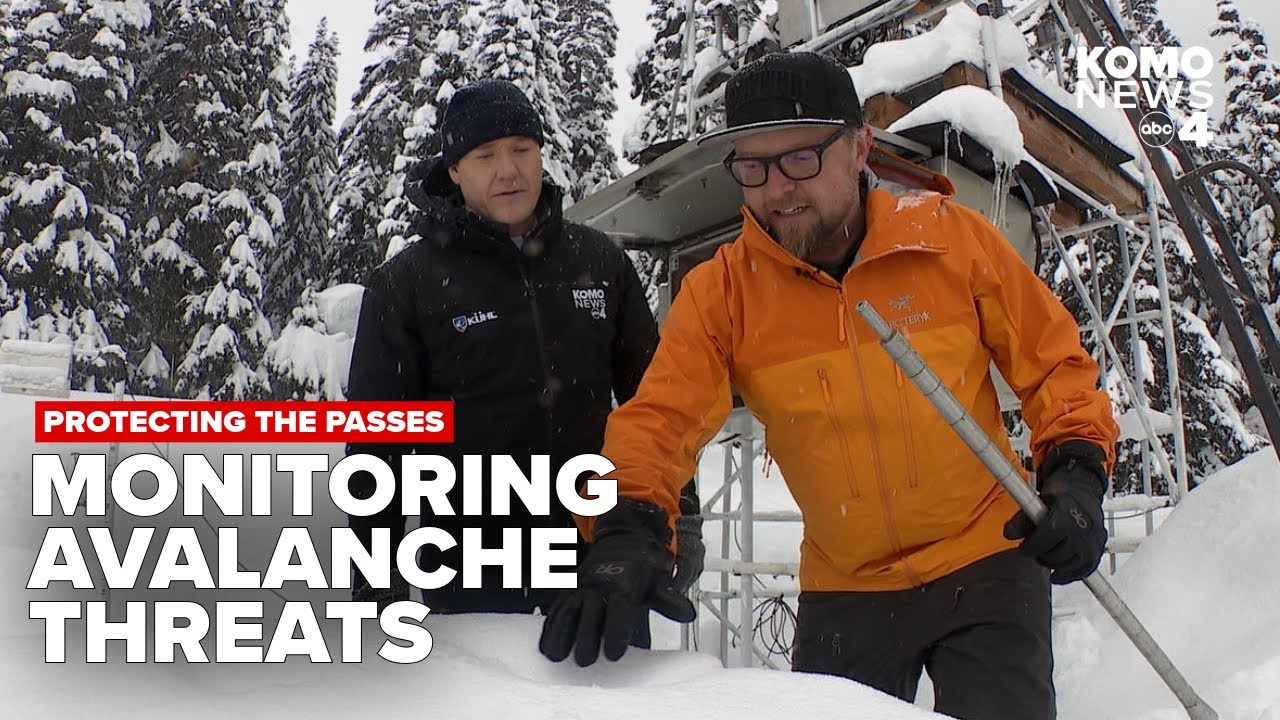 让他的膝盖 让他的膝盖