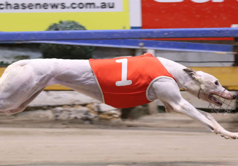 如果要談本 如果要談本