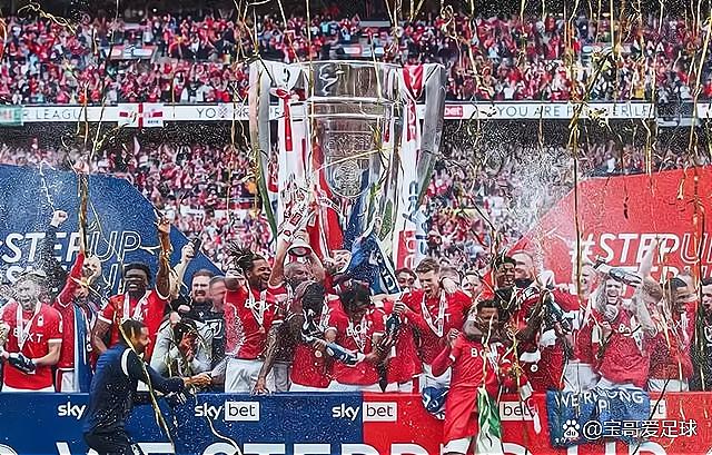 可忽视的 可忽视的