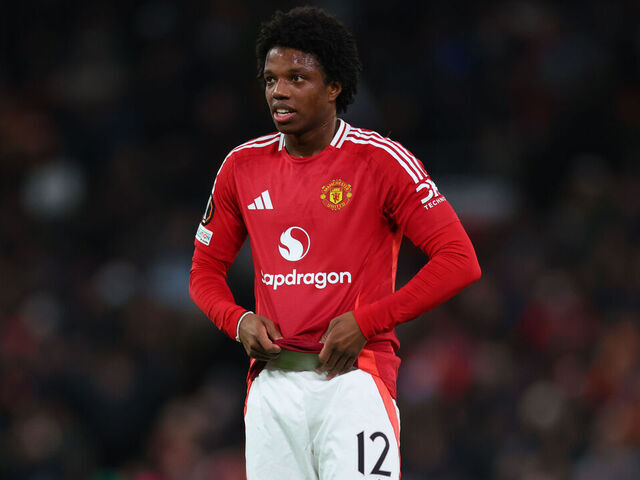 也为曼联树 也为曼联树