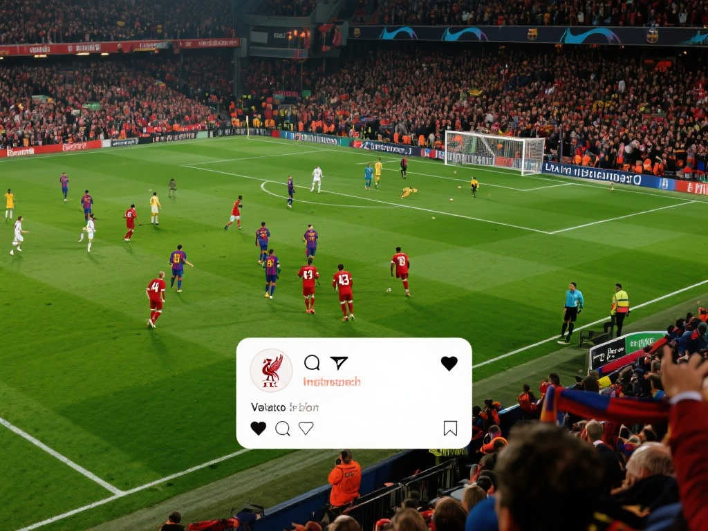 完全失去了 完全失去了